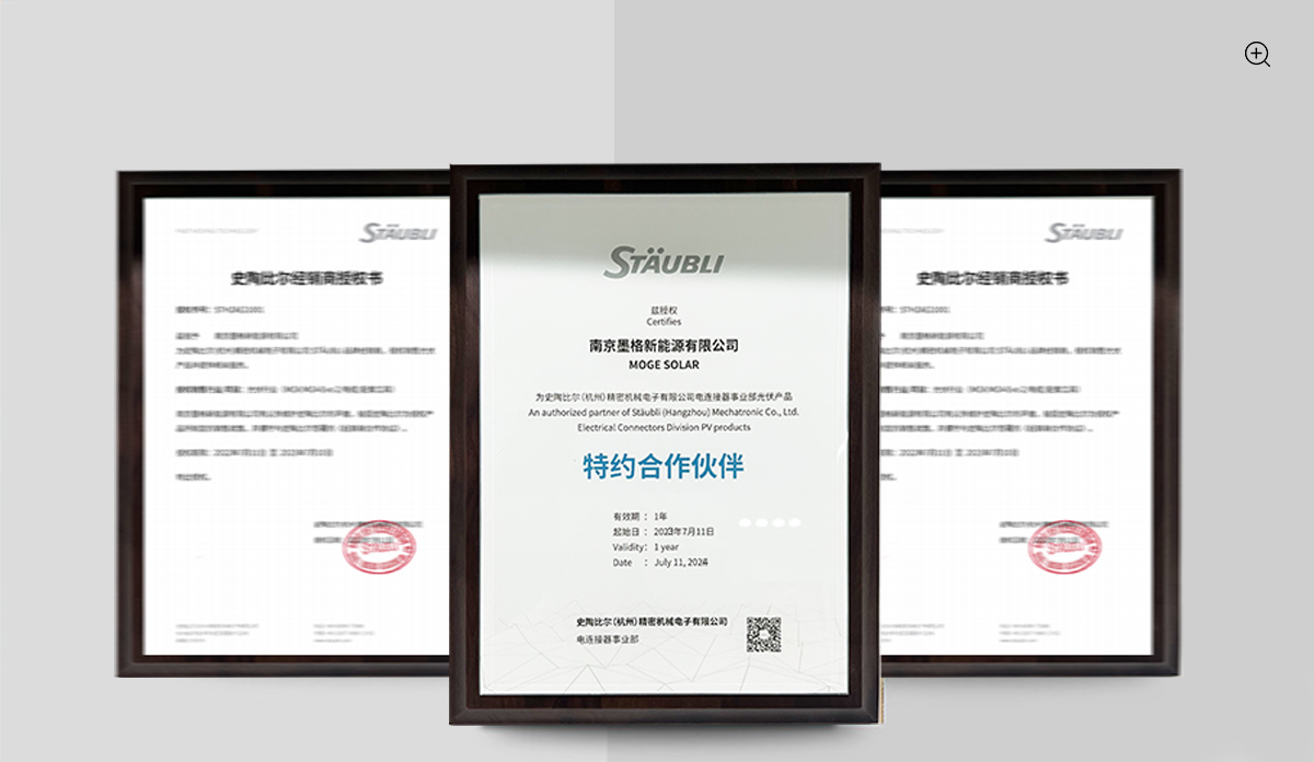 Staubli official authorized certificate